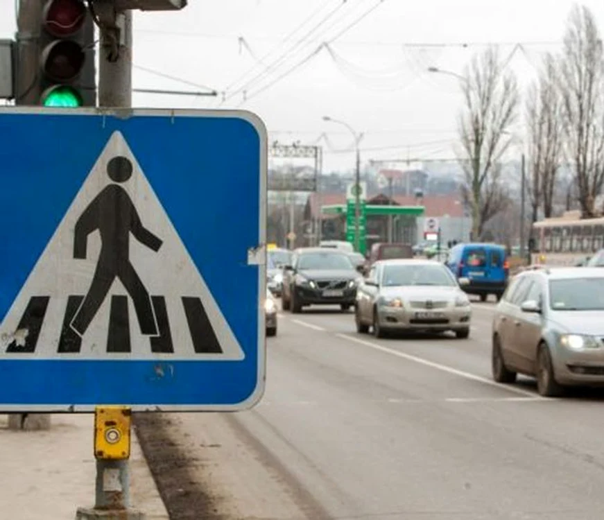 Cîinii cu stăpîn jpeg