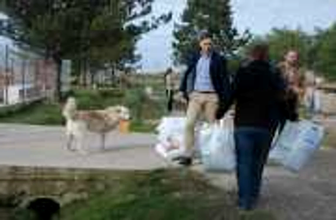 Asociaţia de Protecţie a Animalelor Free Life gestionează singurul
adăpost pentru câini din municipiul Satu Mare