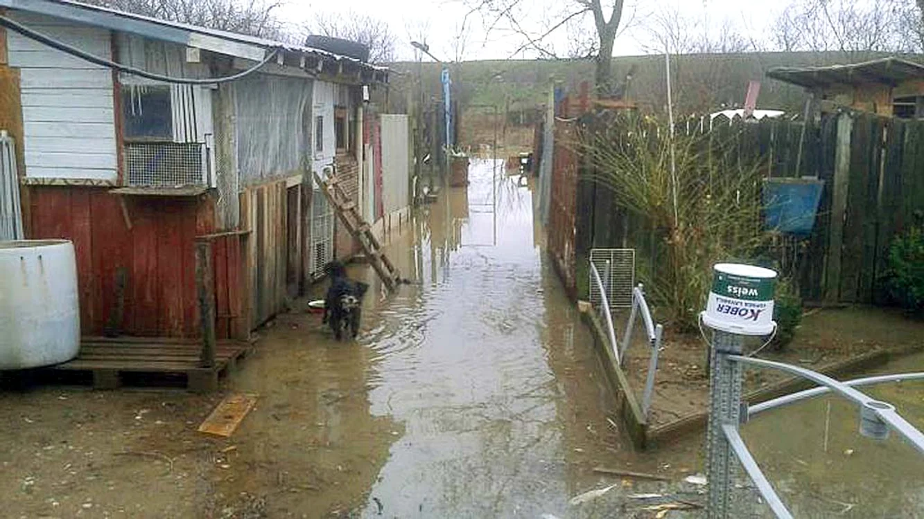 Localnicii din Lipănești, Prahova, s-au trezit cu apa în curțiFoto: observatorph.ro
