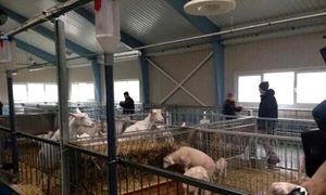 Aşa arată controversata  reşedinţă a fostului  preşedinte al Ucrainei,  Viktor Ianukovici (Fotografii: guliver/gettyimages / reuters / afp) jpeg