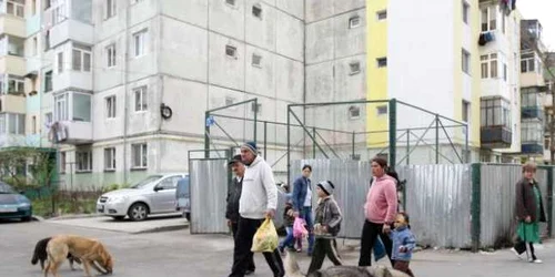 Legea câinilor comunitari a fost adoptată marţi de Camera Deputaţilor