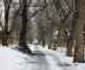 Parcul Municipal Bistriţa 7