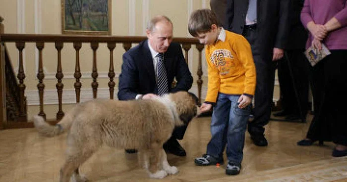 Buffy, câinele lui Putin