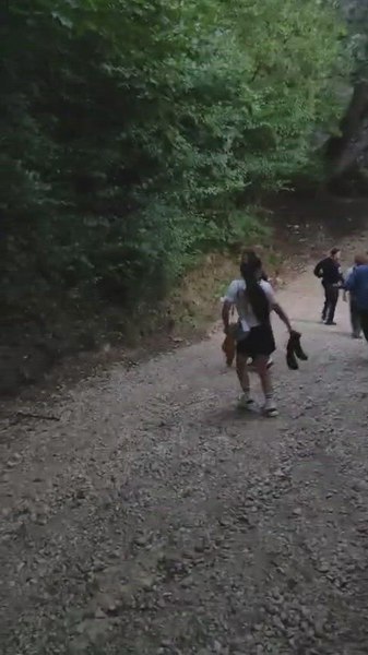 O ursoaică și trei pui au băgat spaima într-un grup de turiști străini. Jandarmii au folosit petarde militare