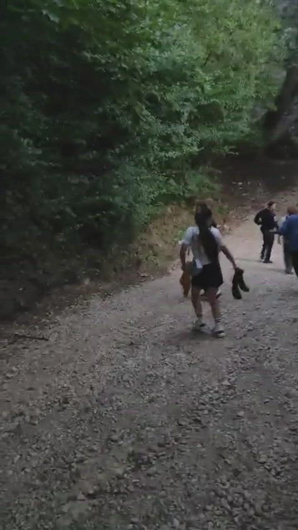 O ursoaică și trei pui au băgat spaima într-un grup de turiști străini. Jandarmii au folosit petarde militare