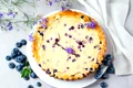 Tarta cu afine si branza  Sursa foto shutterstock 787029385 jpg