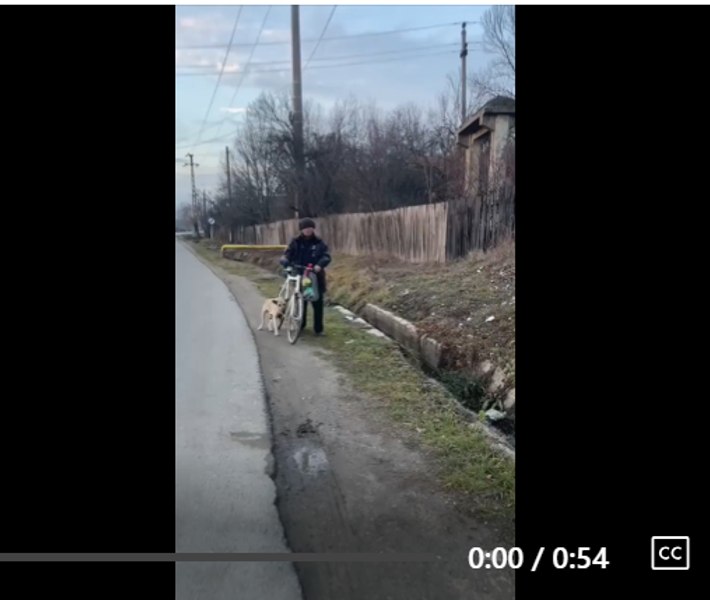 Viral emoționant, cu zeci de mii de aprecieri. Cum a reușit o copilă să salveze câinele torturat de un bătrân: „Când nu știu ce să fac, o sun pe mama”     
