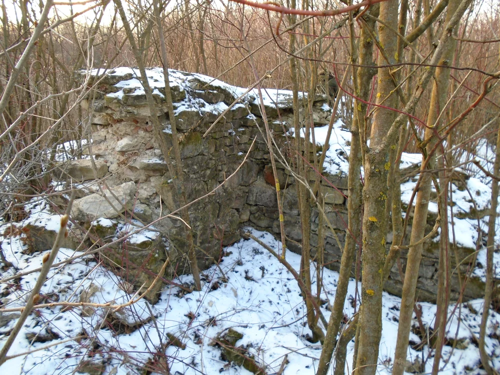 Niște ziduri atestă existența Cetății Smerodava FOTO Wikipedia