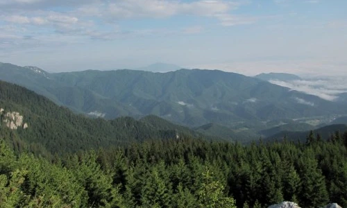 1 51466 original jpg jpeg