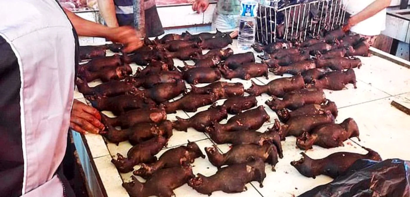 Pieţele umede sunt încă deschise în Indonezia FOTO Daily Mail