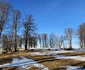Poiana Omului Ianuarie 2024 Foto Daniel Guță ADEVĂRUL (12) jpg