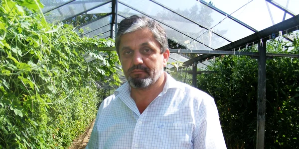 castravete mexican aclimatizat de inginer costel vanatoru