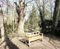 Parcul Dendrologic din Simeria Foto Daniel Guță ADEVĂRUL (21) JPG