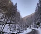Cheile Jiețului din Hunedoara Foto Daniel Guță ADEVĂRUL (13) jpg