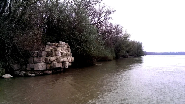 calarasi atractii salbatuce la dunare foto natura2000.ro