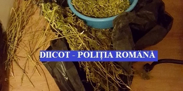 droguri