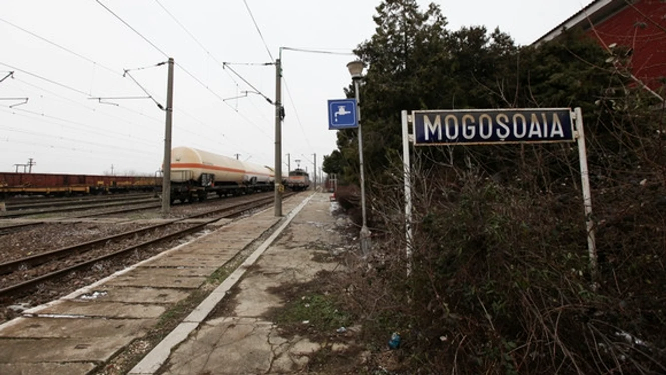Halta Mogoșoaia 