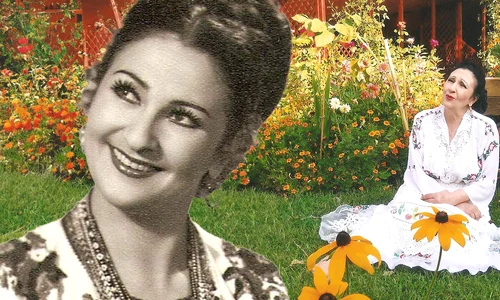 Banner Ștefania Rareș png