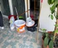 nereguli la un azil din Pitești (3) jpeg