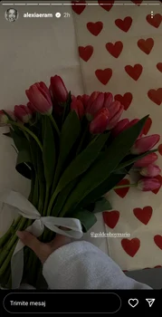 Imaginile postate de Alexia Eram / foto: captură InstaStory