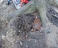 Descoperirile detectoriștilor în Poiana Spinului Perișani în Țara Loviștei Vâlcea Foto RMA jpg