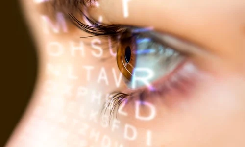 1 shutterstock 556848595 jpg jpeg