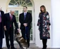 Conan câinele erou la Casa Albă FOTO EPA-EFE / Michael Reynolds