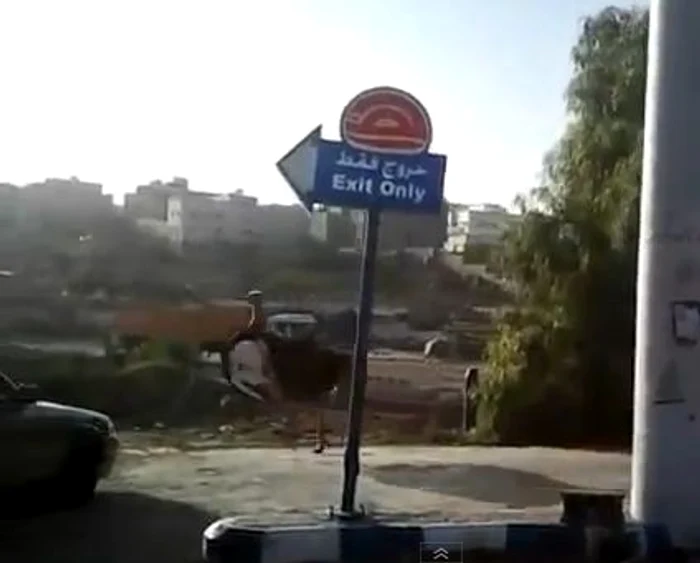 Nici impactul cu o maşină nu l-a oprit pe struţ