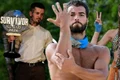 iancu sterp colaj instagram jpg