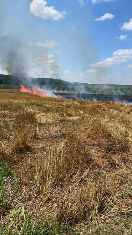 Arderea resturilor vegetale e permisă doar în anumite condiţii