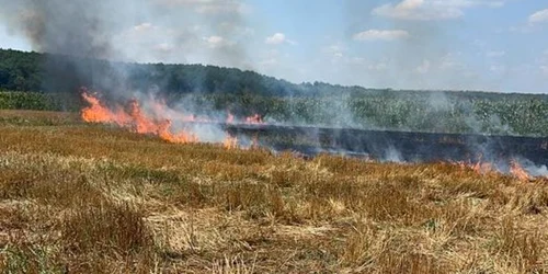 igsu Arges incendiu vegetatie