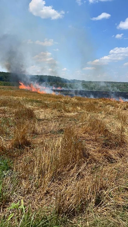 Arderea resturilor vegetale e permisă doar în anumite condiţii