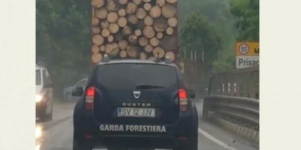 garda forestiera