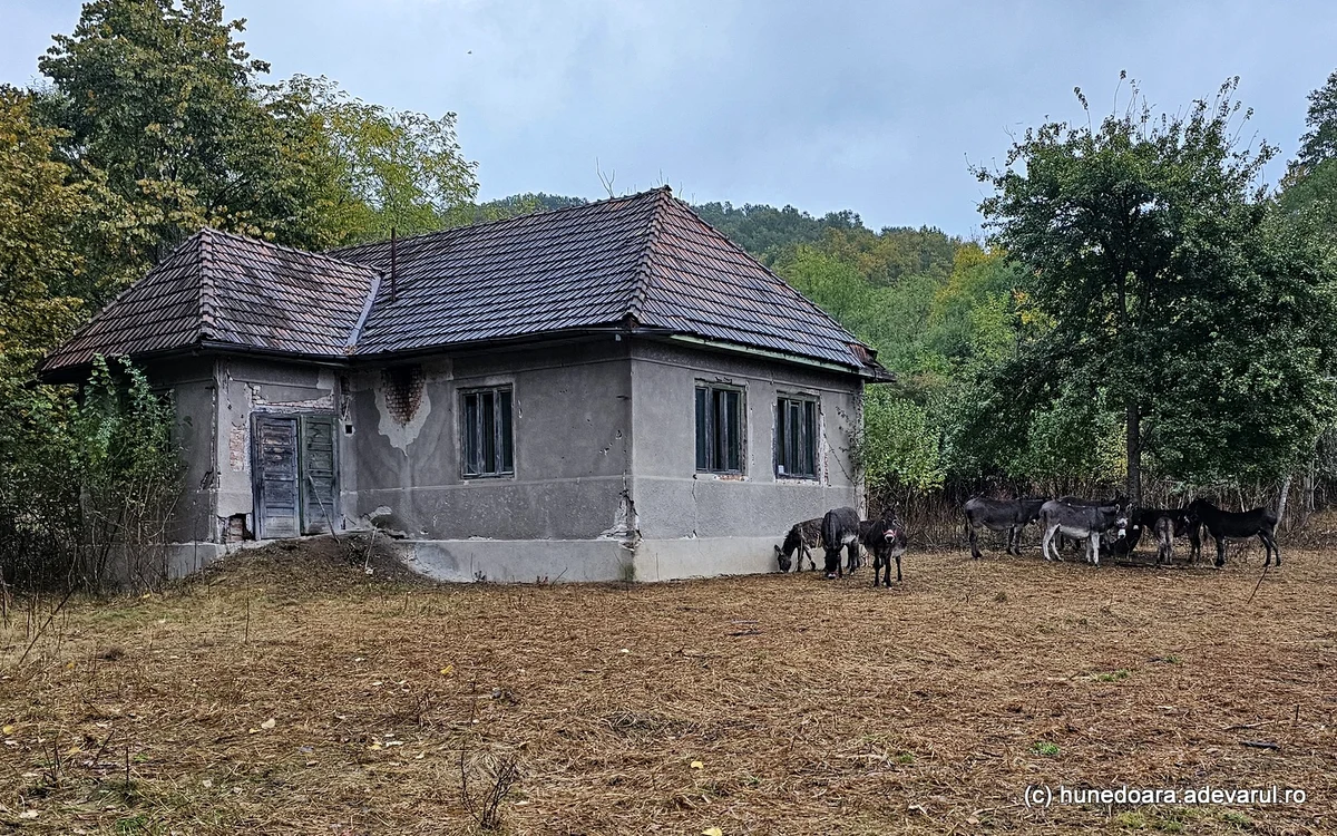 Fosta școală din Gialacuta. Foto: Daniel Guță.