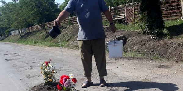 Flori in gropile din asfalt