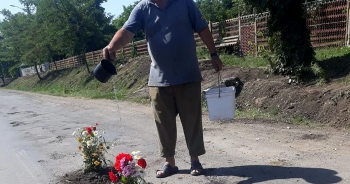 Localnicii au plantat flori în gropile de pe drum FOTO Ionuţ Clătinici/Radar Botoşani Oficial