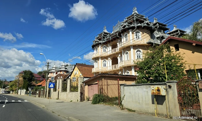 Palate cu turnulete Foto Daniel Guță ADEVĂRUL jpg