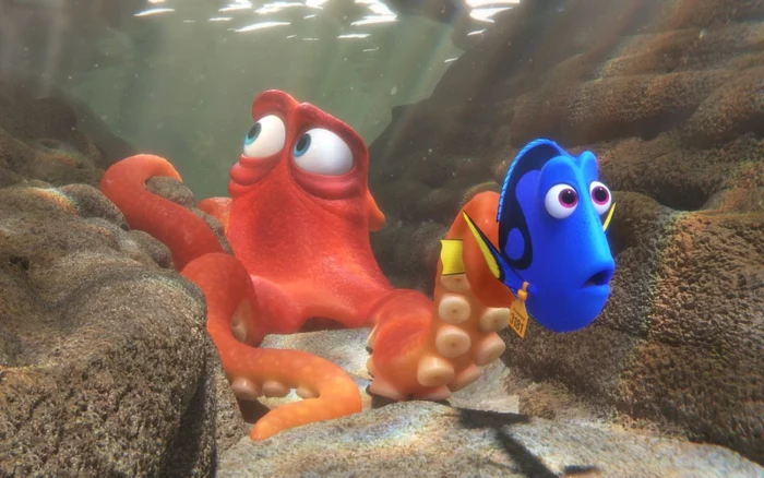 Filmul „În căutarea
lui Dory“ a atras un public numeros în cinematografe, fapt care a adus încasări
consistente către Disney FOTO cinemagia.ro