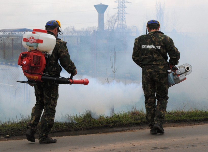 De ce încă se îmbolnăvesc românii de West Nile. Specialist. „Sunt mai multe cauze. Nici nu ne dăm seama” 