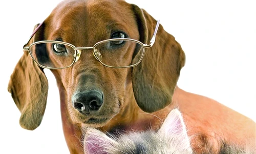 1 47362 original jpg jpeg