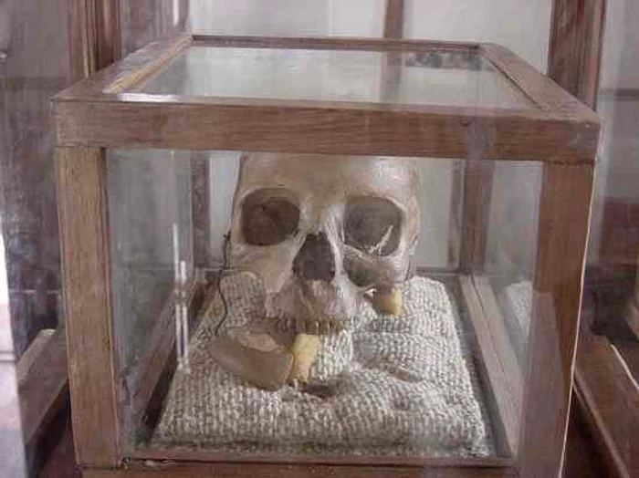 800px skull of mkwawa jpg jpeg