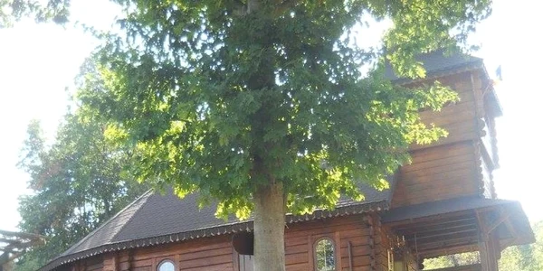 budesti