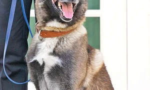 Conan a fost decorat de Donald Trump  jpeg