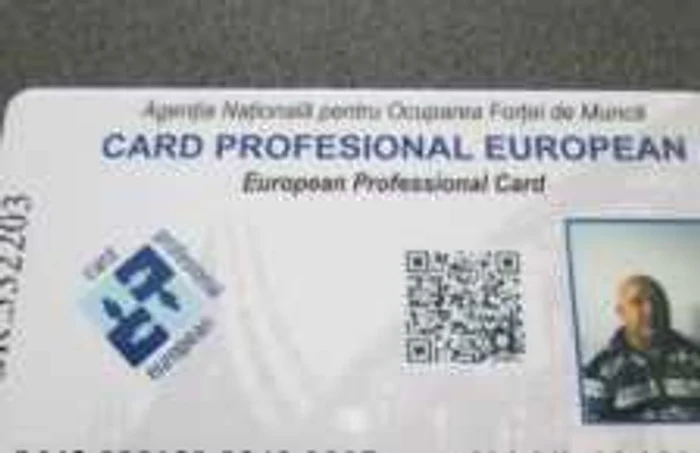 Cardul european profesional se eliberează în baza unei cereri. Foto Adevărul