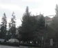 transilvania
