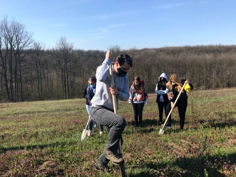 Principele Nicolae a dat startul plantării a peste 2000 de pomi în pădurea Bucovăţ - judeţul Dolj FOTO / Ana Popescu