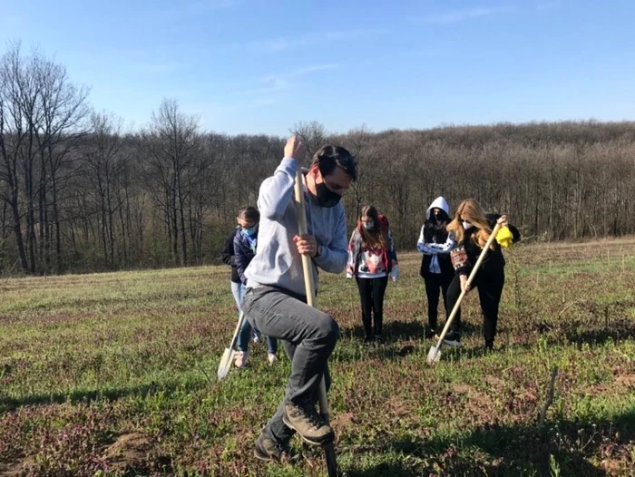 Principele Nicolae a dat startul plantării a peste 2000 de pomi în pădurea Bucovăţ - judeţul Dolj FOTO / Ana Popescu