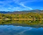 Campul lui Neag Foto Emil Milică Savu 3 jpg