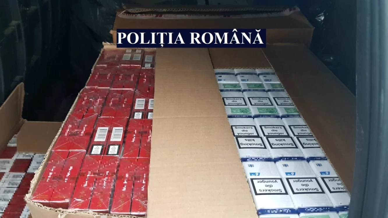 Ţigări de contrabandă foto: IPJ Constanţa