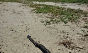 5a9ebe1e 6832 43e5 83a8 551961e49e02 jpeg